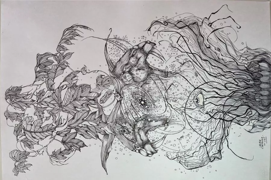 Dibujo de plantas en una hoja de papel. Realizado con lapicera negra