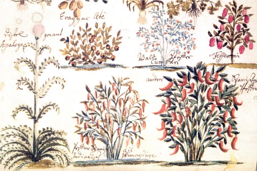 Dibujo de árboles nativos