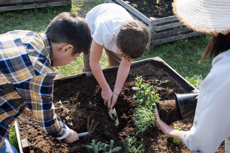 Jardineria en la escuela