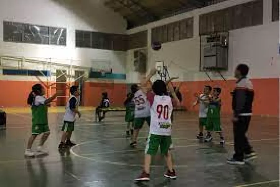 Basquet infantil