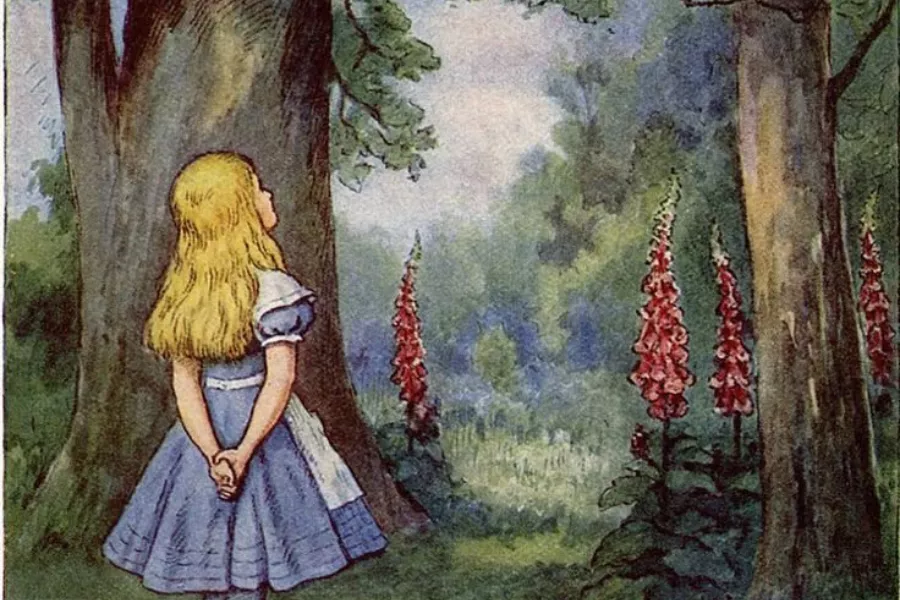 joven Alicia en el bosque