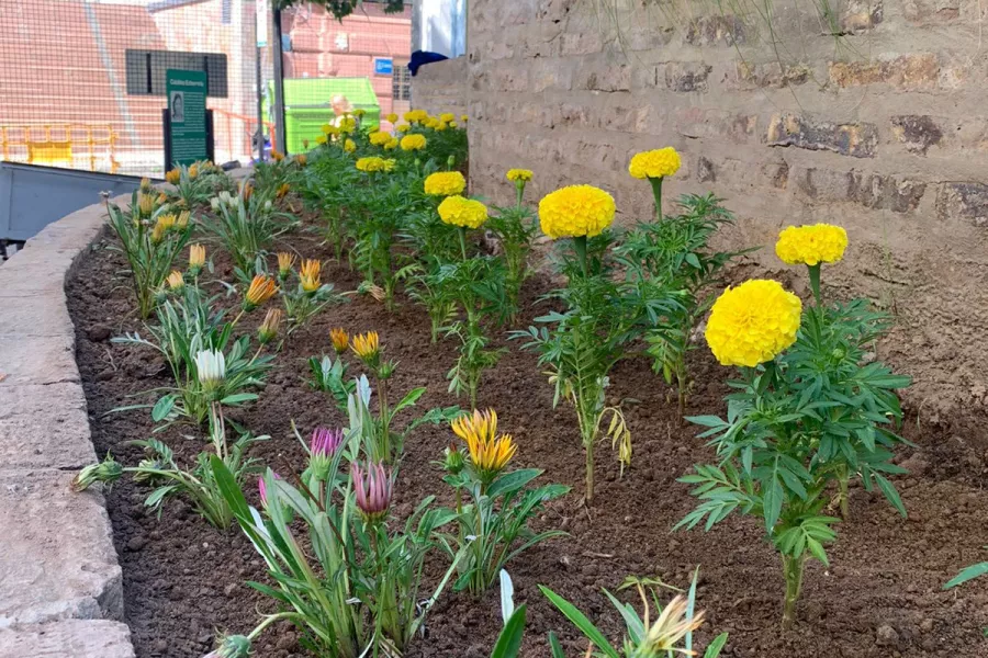 Cantero con flores primaverales