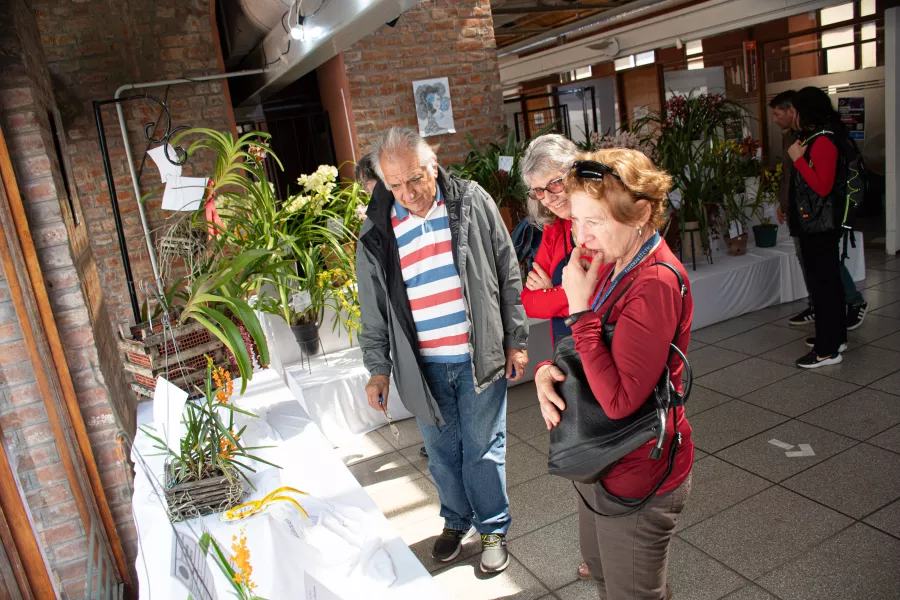 expo orquideas
