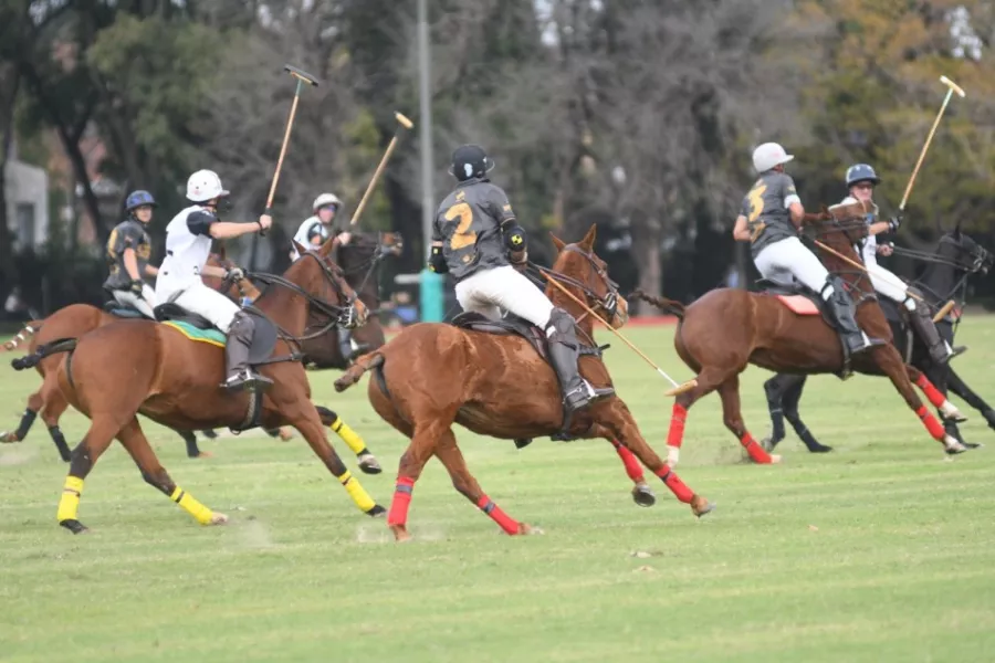 Polo