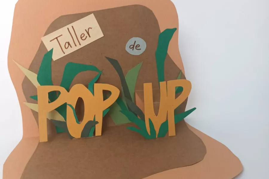 Pop up taller libros CEC