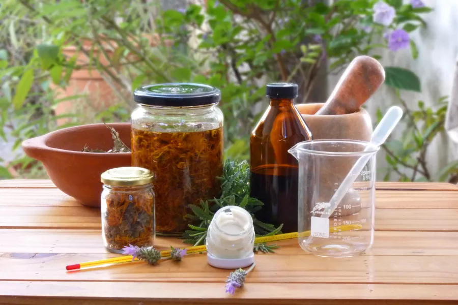 Taller Bienestar Natural