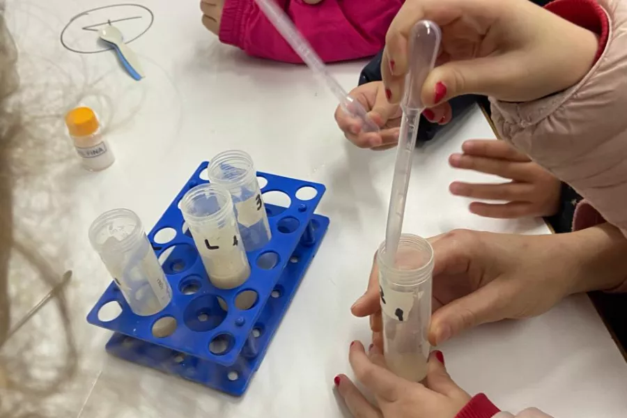 Taller pequeños científicos