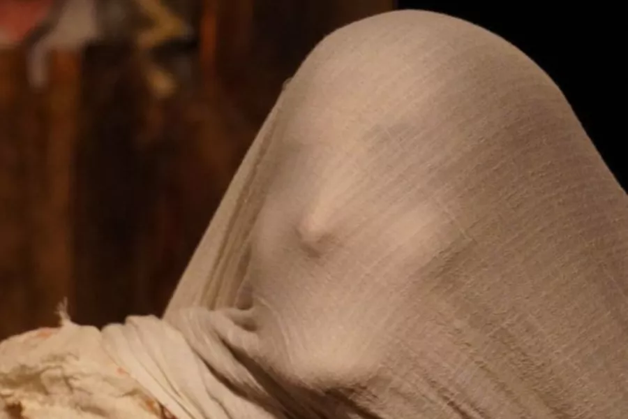 Voces que el viento trae