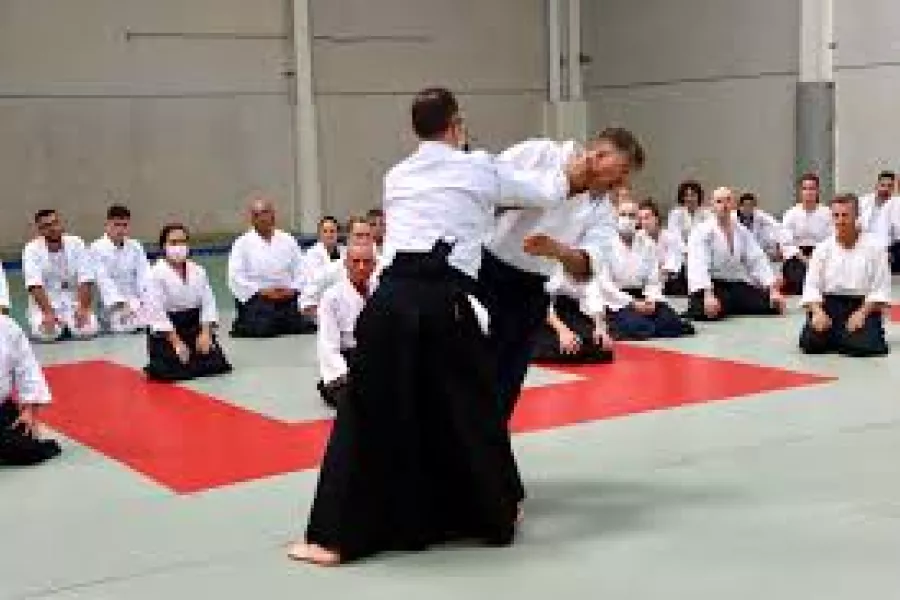 Aikido