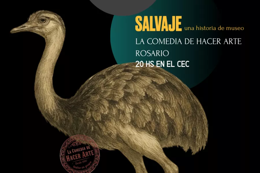 salvaje festival en obra en el cec