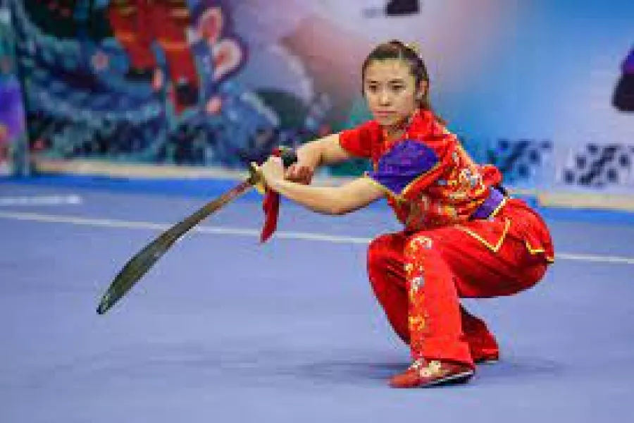Wushu Kung Fu