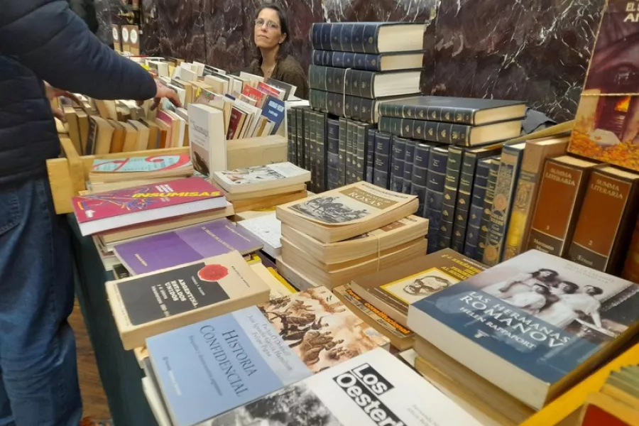 es la imagen de libros de distintos colores y tamaños y de fondo se ve una mujer sentada