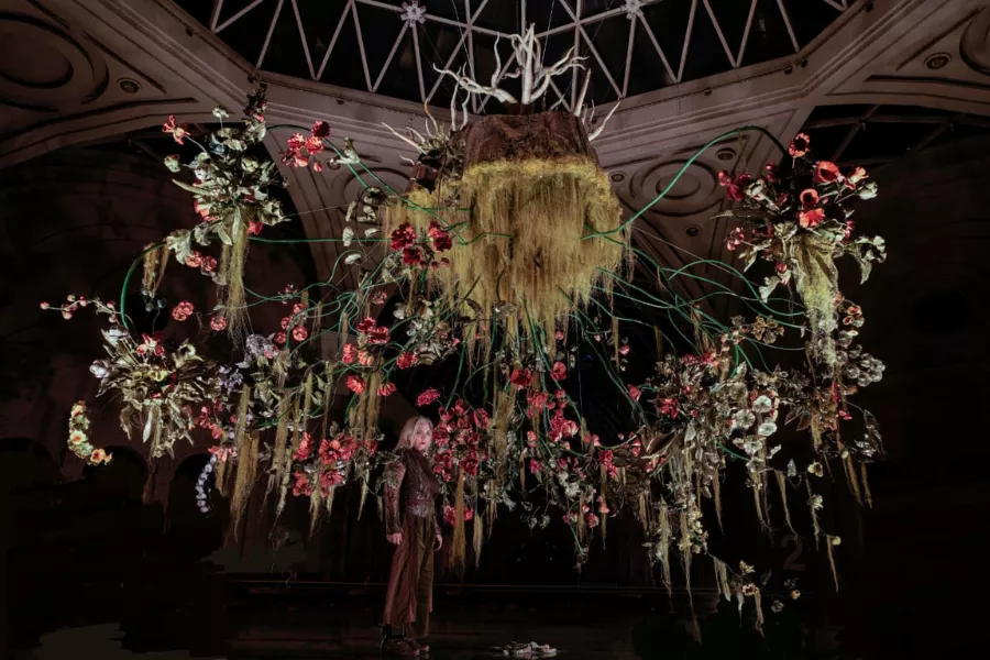 Muestra de Nicola Costantino