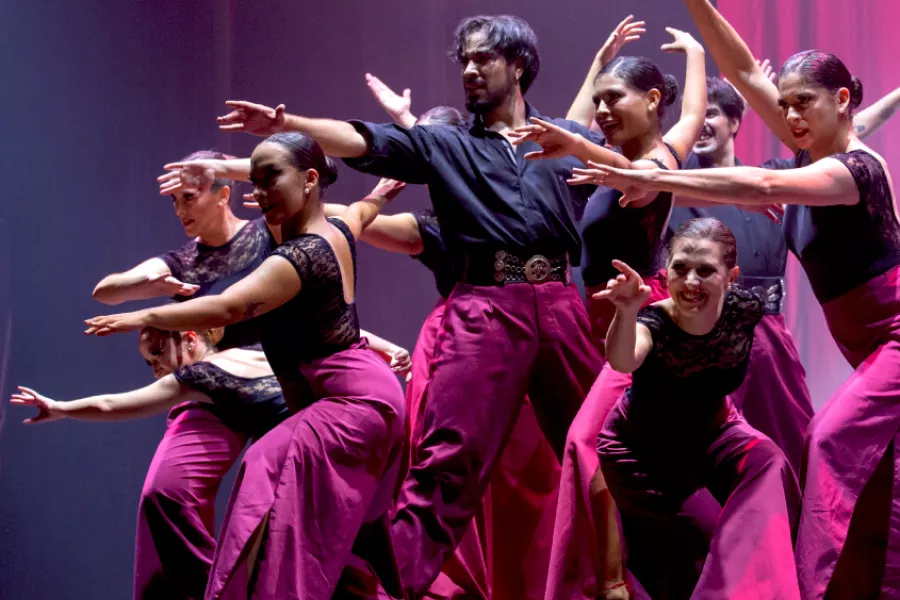 Imagen de obra Latidos. Espectáculo de danzas folclóricas.