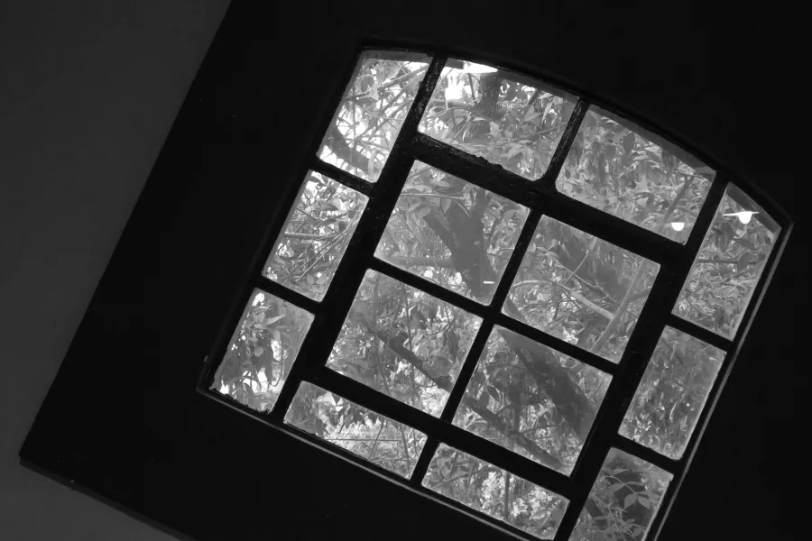 ventana musto