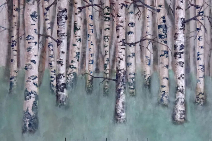Pintura del artista Rob Verf