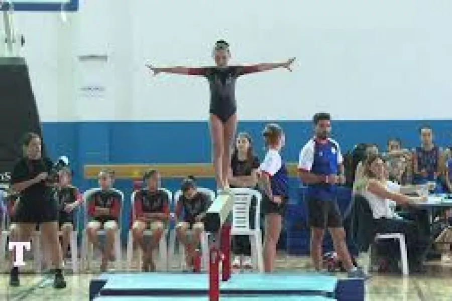 gimnasia artistica