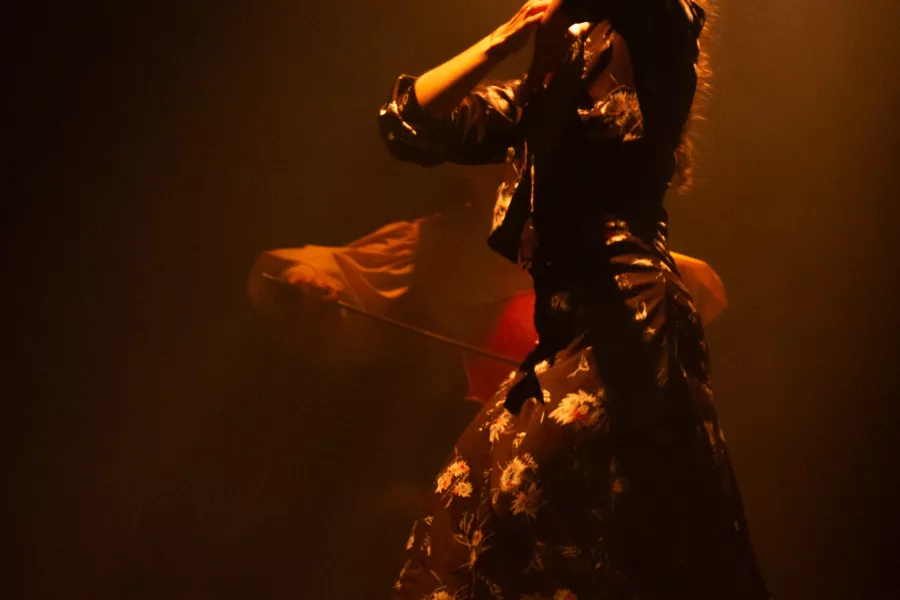 danza
