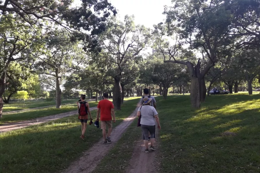 caminata de escucha