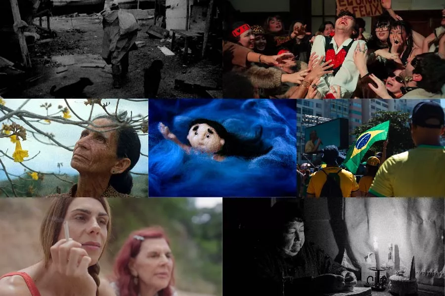 cortos premiados 2026