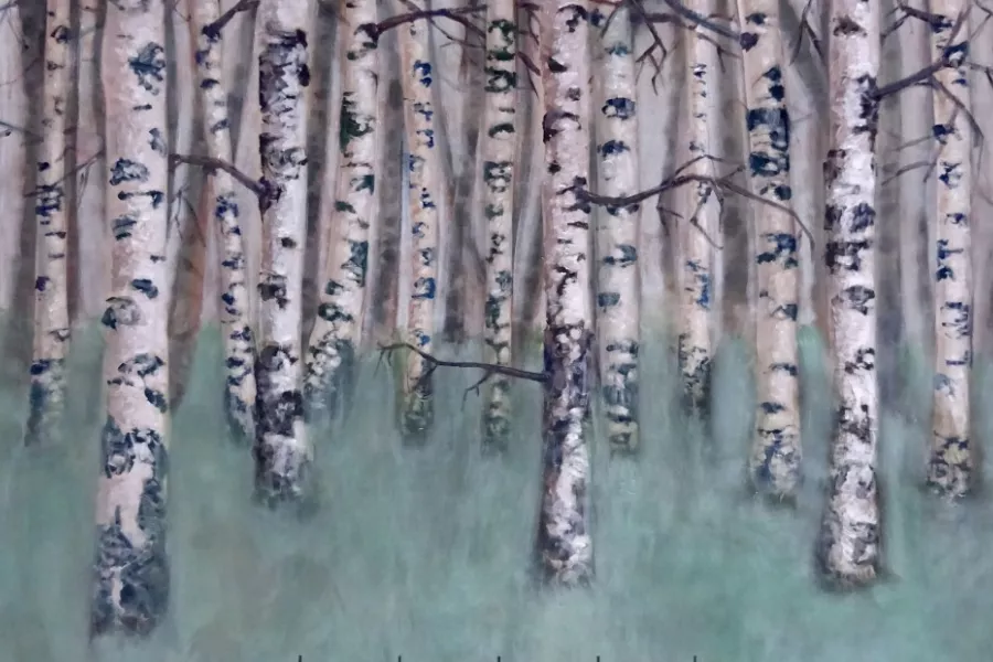 Rob Verf habitar el paisaje 