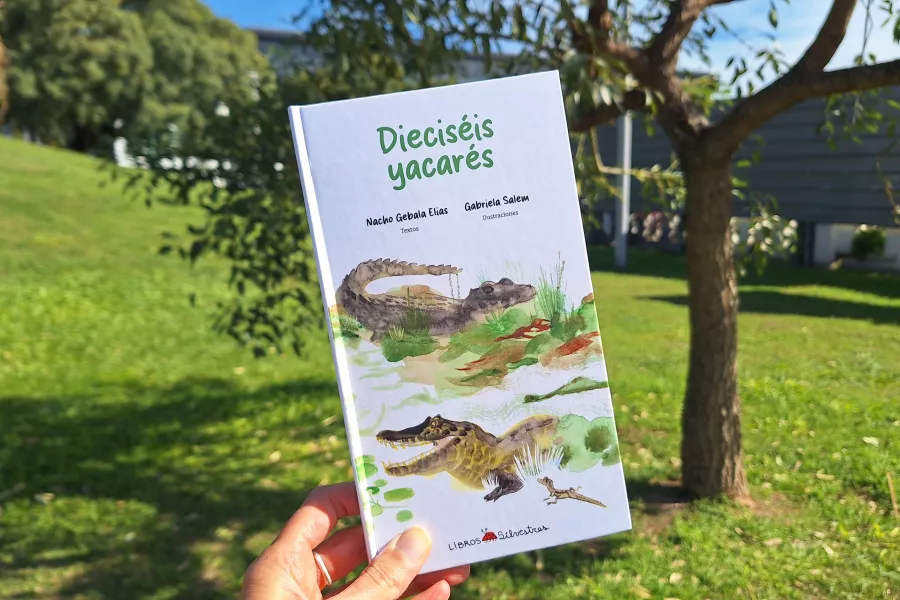 Dieciseis yacarés