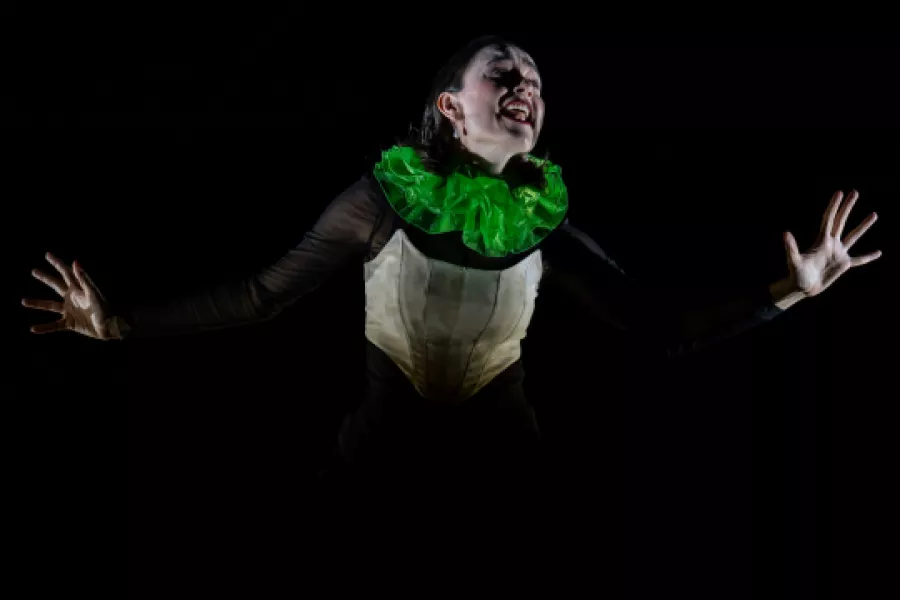 Es la imagen de una bailarina cantando con una bufanda verde en un fondo