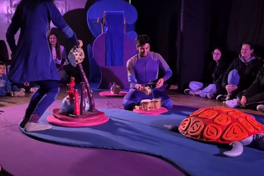 Ota, la tortuga