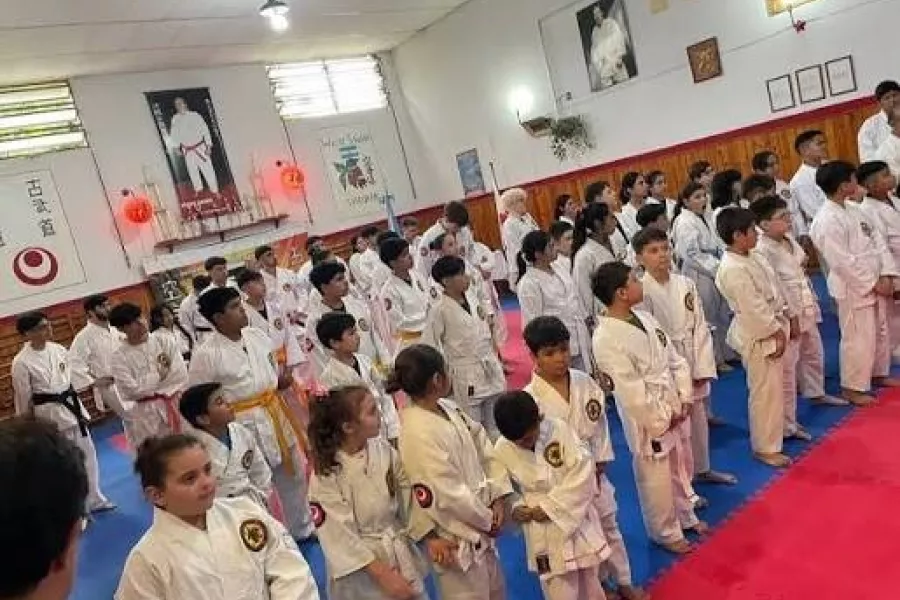 Seminario artes marciales