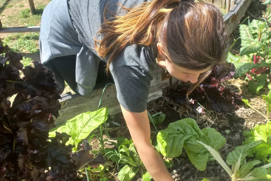 Huerta Semillas Cósmicas
