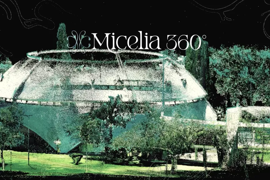 Micelia 360