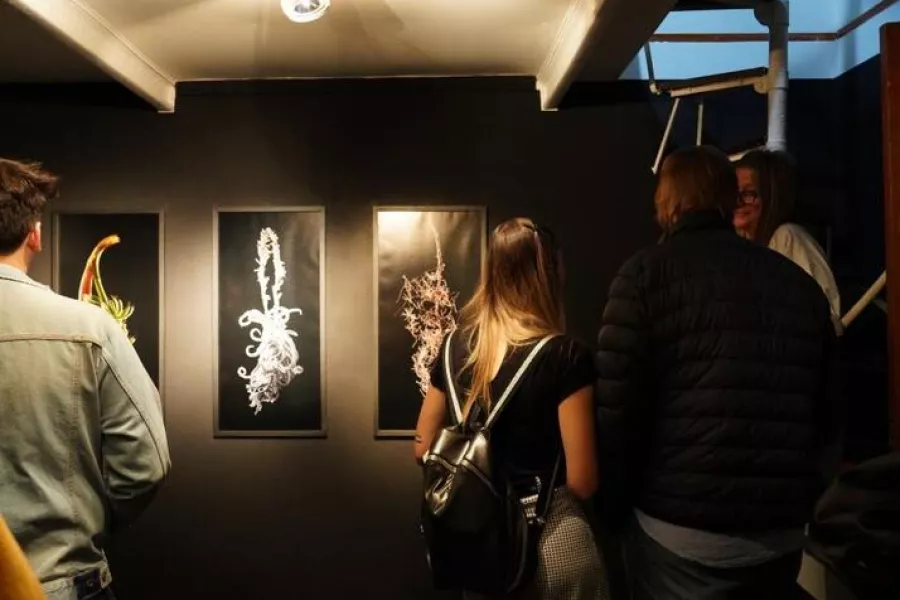 Es la imagen del interior de una galería, en la misma hay personas charlando y observando pinturas