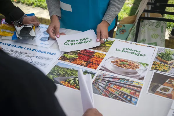 Alimentación saludable