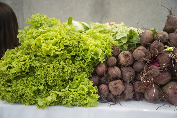 Alimentación saludable