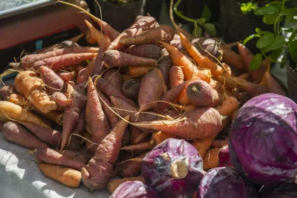 Alimentación saludable
