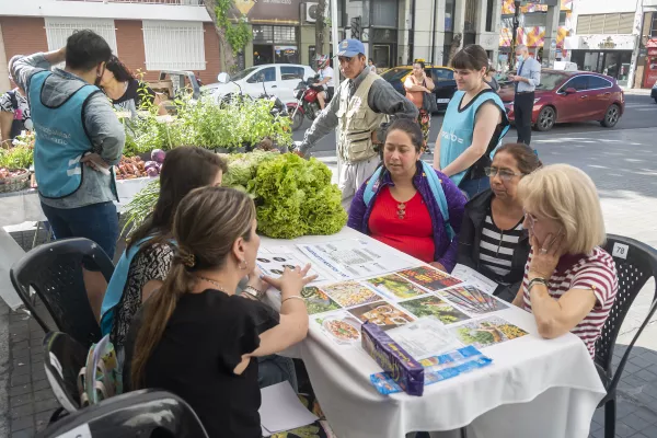 Alimentación saludable