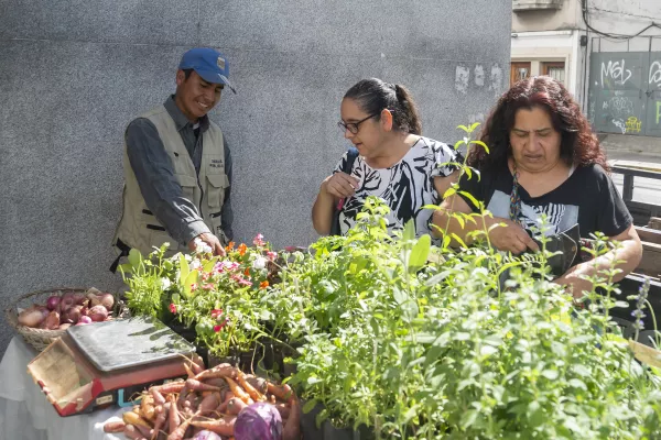 Alimentación saludable