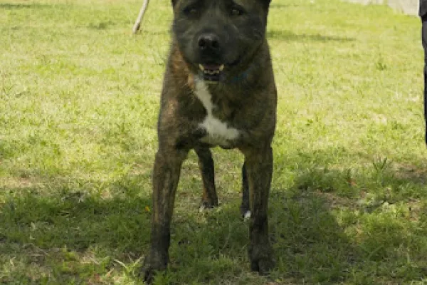 Zeus