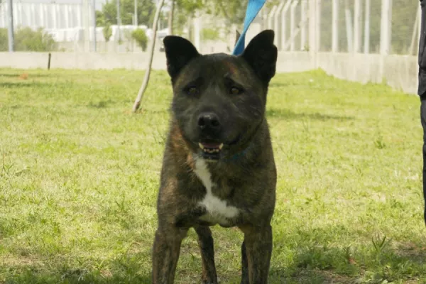 Zeus