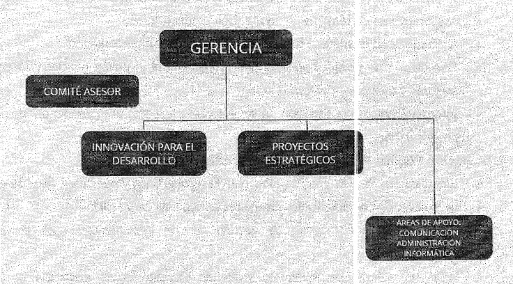 organigrama decreto 111/2024