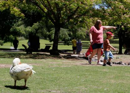 Enero en La Granja de la Infancia