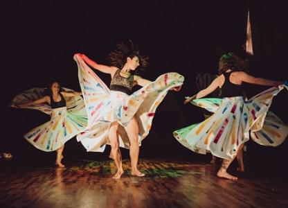 Reviví el Festival Danza en Red