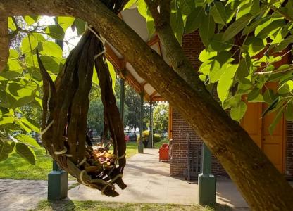 Jueves de aves en Estación Embarcaderos
