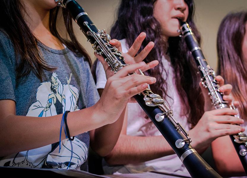 Banda infanto juvenil del distrito sur