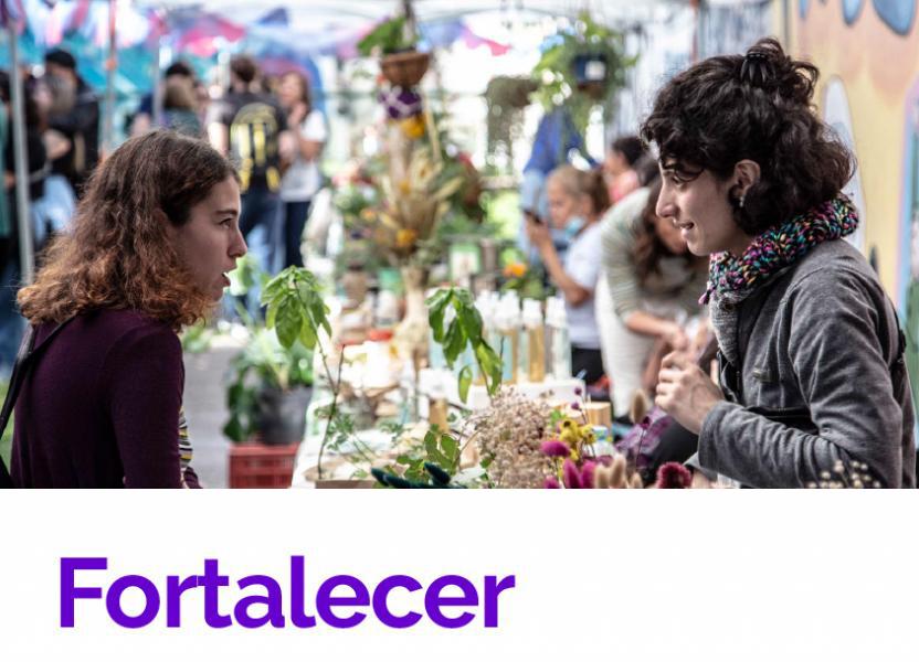 Fortalecer. Sistema de fomento cultural