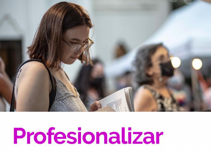Profesionalizar. Sistema de fomento cultural