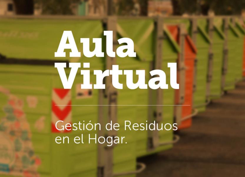 Curso del aula virtual