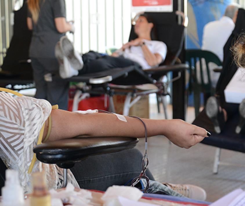 Jornadas de donación de sangre