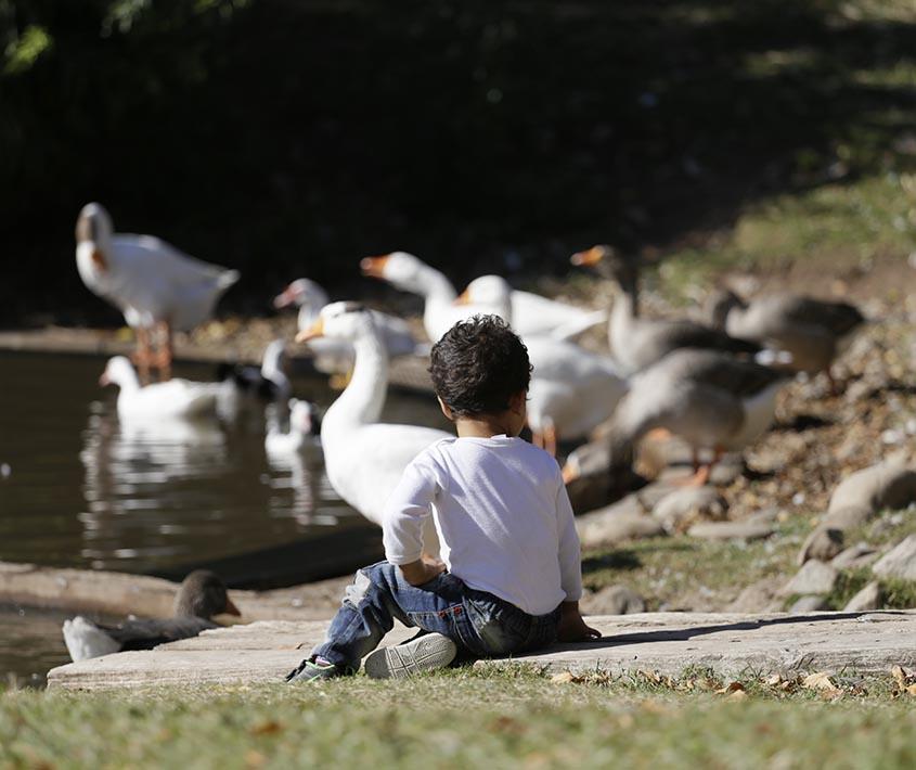 La Granja de la Infancia