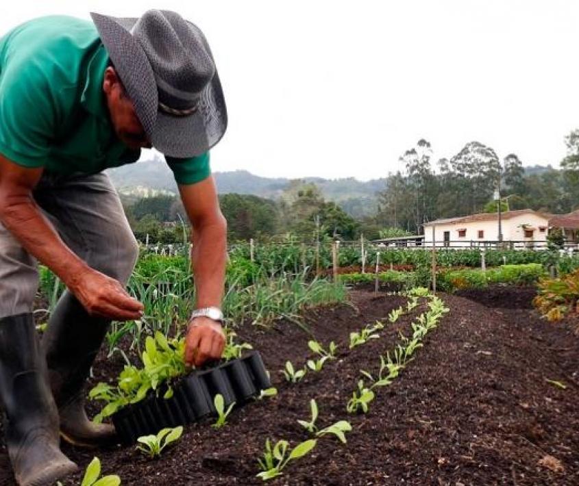 Charla: La primavera de la agroecología